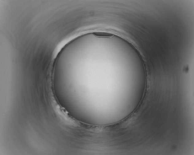 X0000110691530200906261332