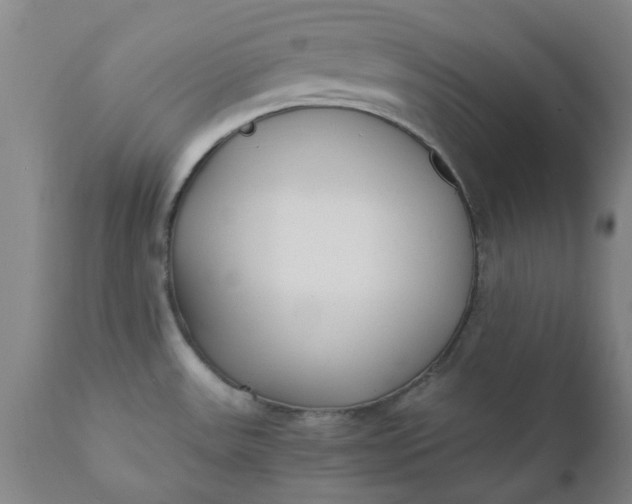 X0000110691531200906261332