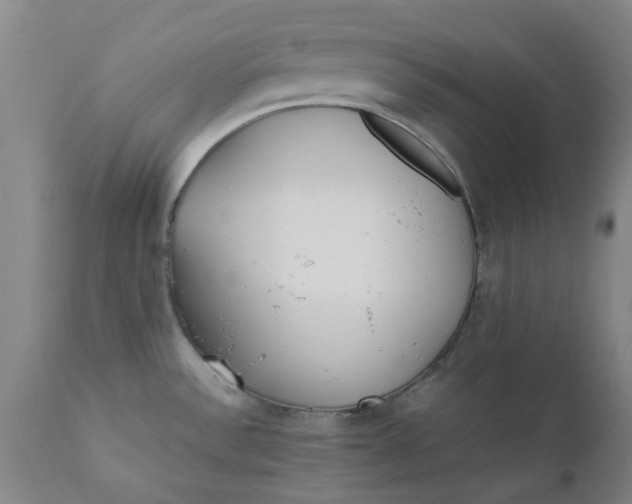 X0000110691532200906261332