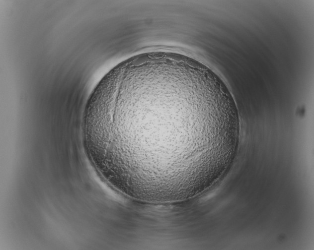 X0000110691533200906261332