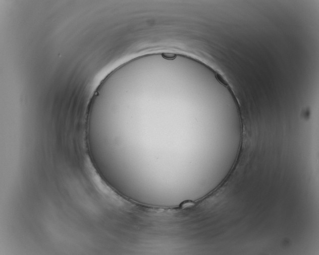 X0000110691534200906261332