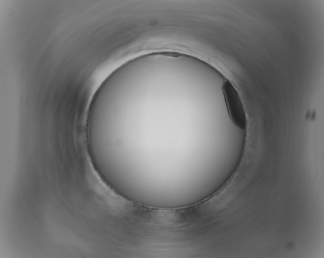 X0000110691536200906261332