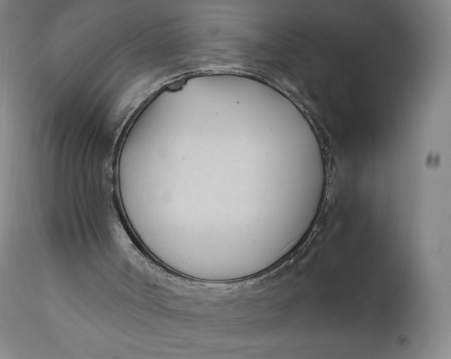 X0000110690002200907021944