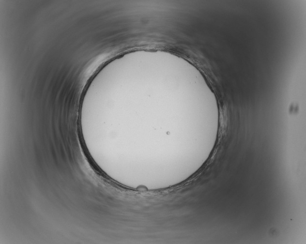 X0000110690003200907021944