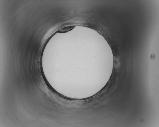 X0000110690004200907021944