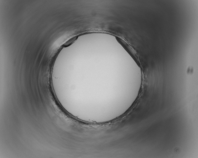 X0000110690005200907021944