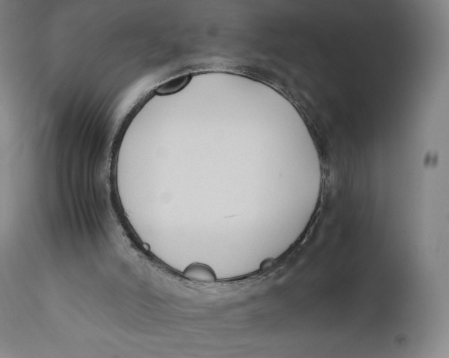 X0000110690006200907021944