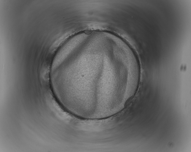 X0000110690009200907021944