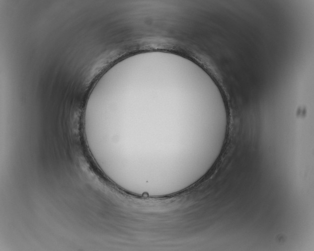 X0000110690010200907021944