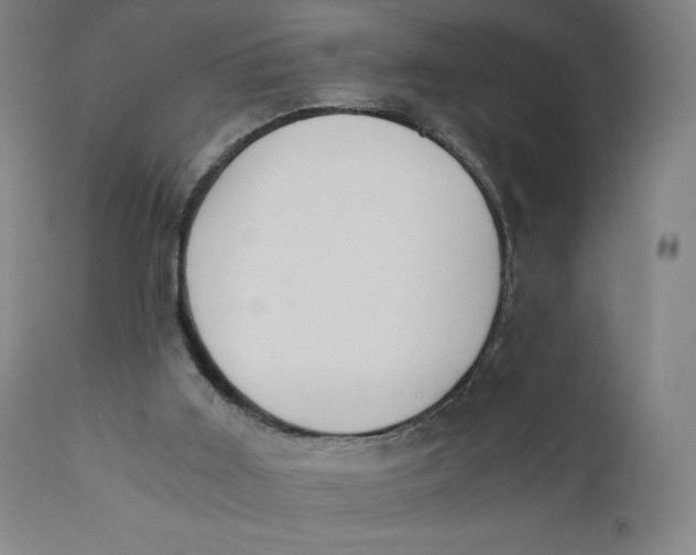 X0000110690011200907021944