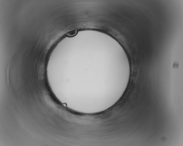 X0000110690012200907021944