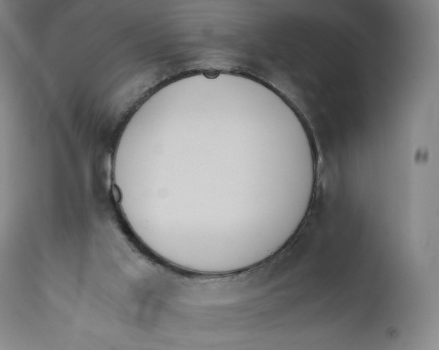 X0000110690013200907021944