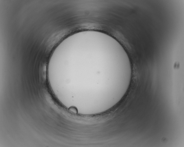 X0000110690014200907021944