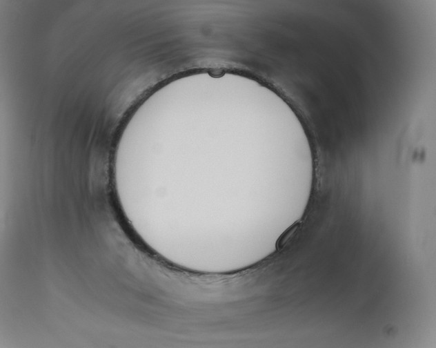 X0000110690015200907021944