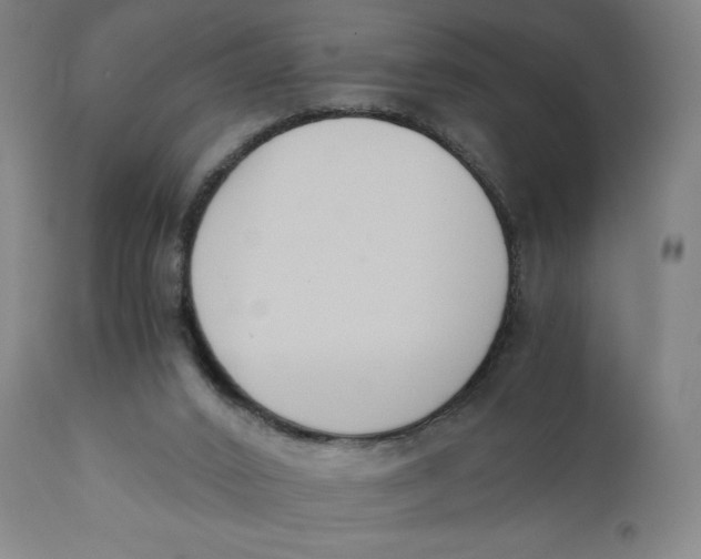 X0000110690016200907021944