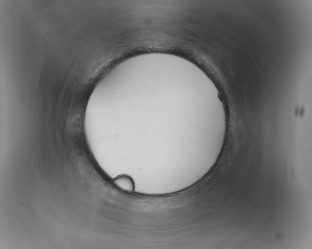 X0000110690017200907021944