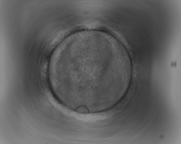 X0000110690018200907021944