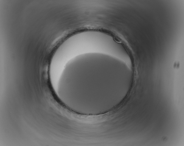 X0000110690019200907021944