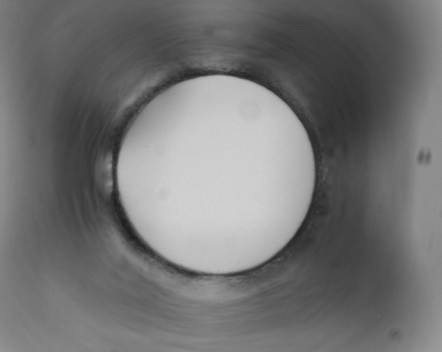 X0000110690020200907021944