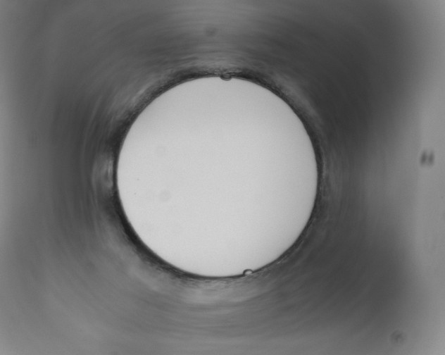 X0000110690021200907021944