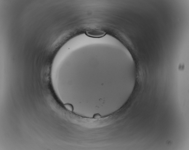 X0000110690023200907021944