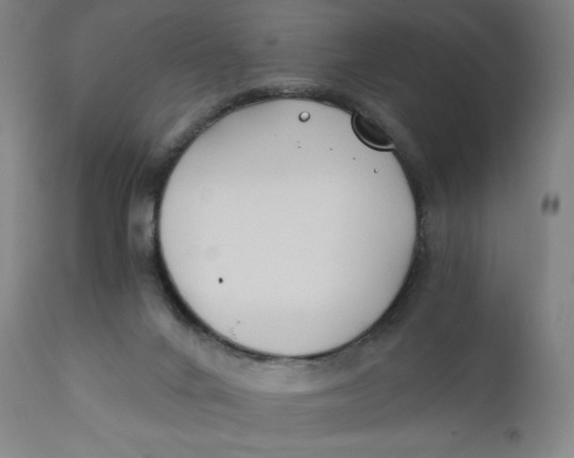 X0000110690024200907021944