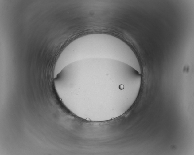 X0000110690025200907021944