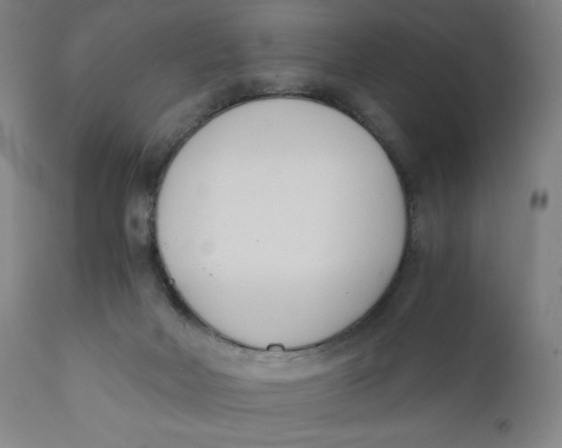 X0000110690026200907021944