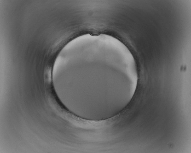 X0000110690027200907021944