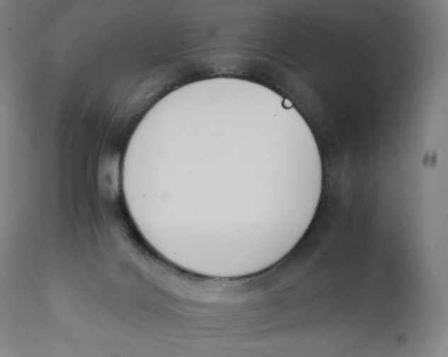 X0000110690028200907021944