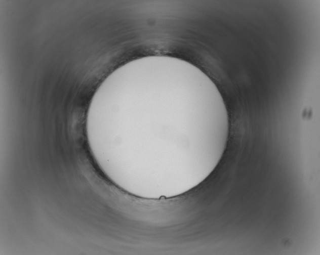 X0000110690030200907021944