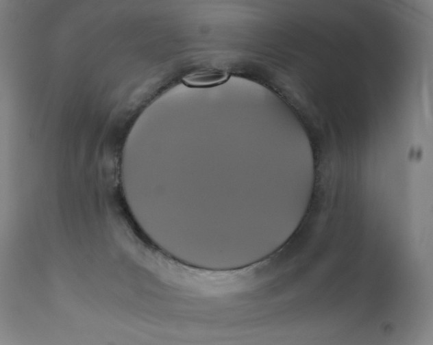 X0000110690031200907021944