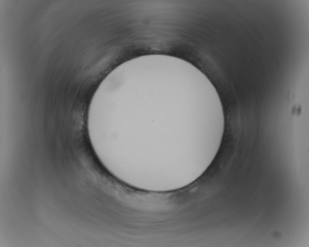 X0000110690032200907021944