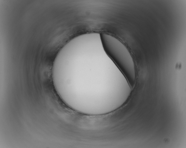 X0000110690033200907021944