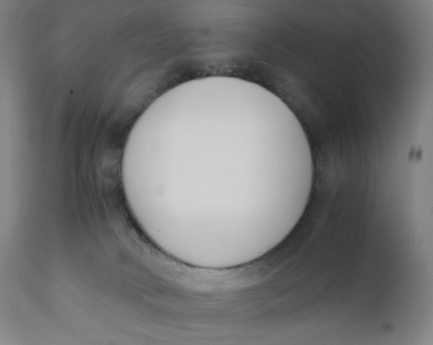 X0000110690034200907021944