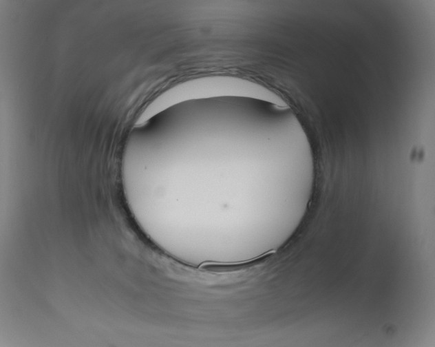 X0000110690035200907021944