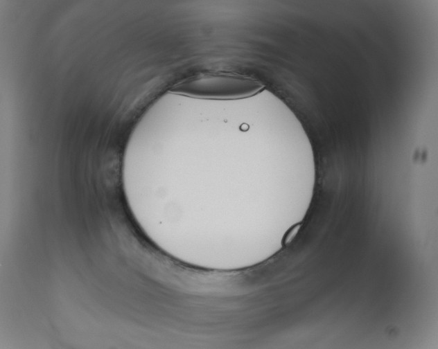 X0000110690036200907021944