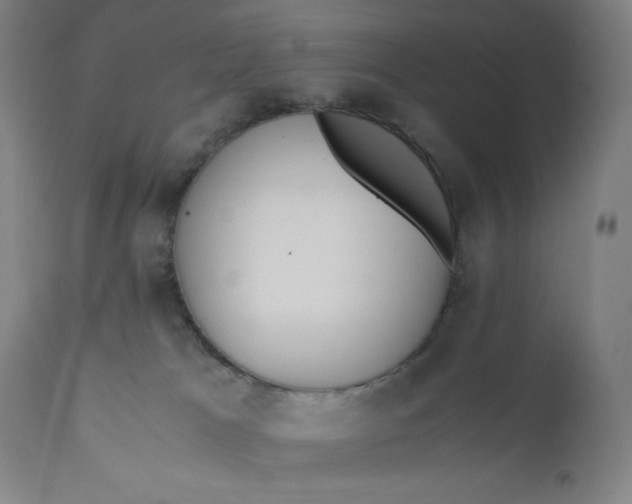 X0000110690037200907021944