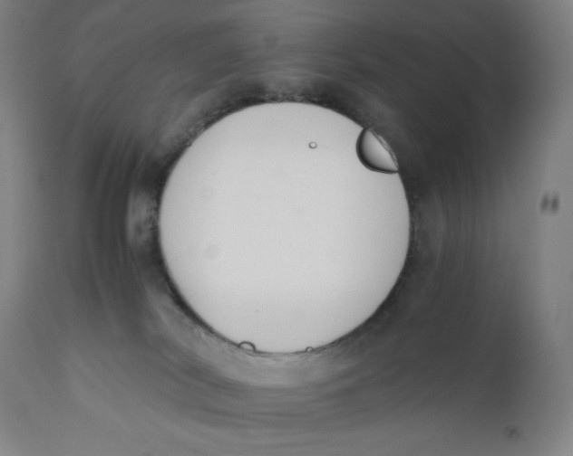 X0000110690038200907021944