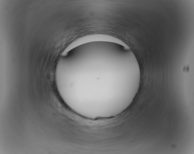 X0000110690039200907021944