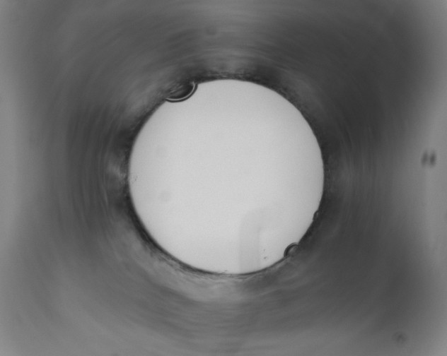 X0000110690040200907021944