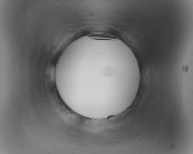 X0000110690041200907021944