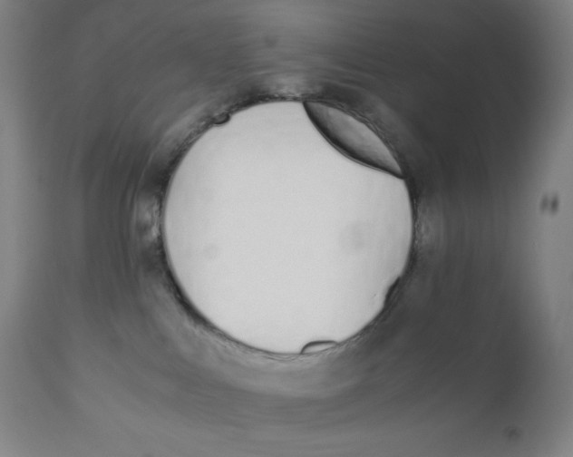 X0000110690043200907021944