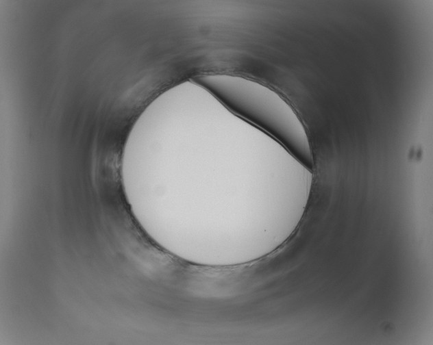 X0000110690045200907021944