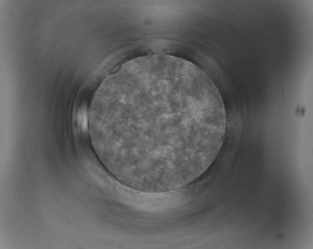 X0000110690046200907021944