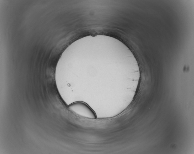 X0000110690048200907021944