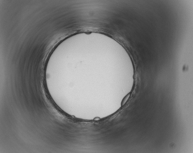 X0000110690049200907021943