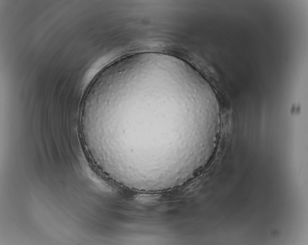 X0000110690051200907021943