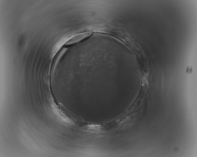 X0000110690052200907021943