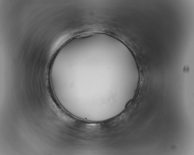 X0000110690053200907021943